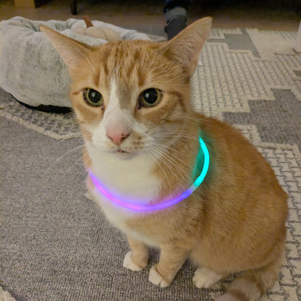 Loki