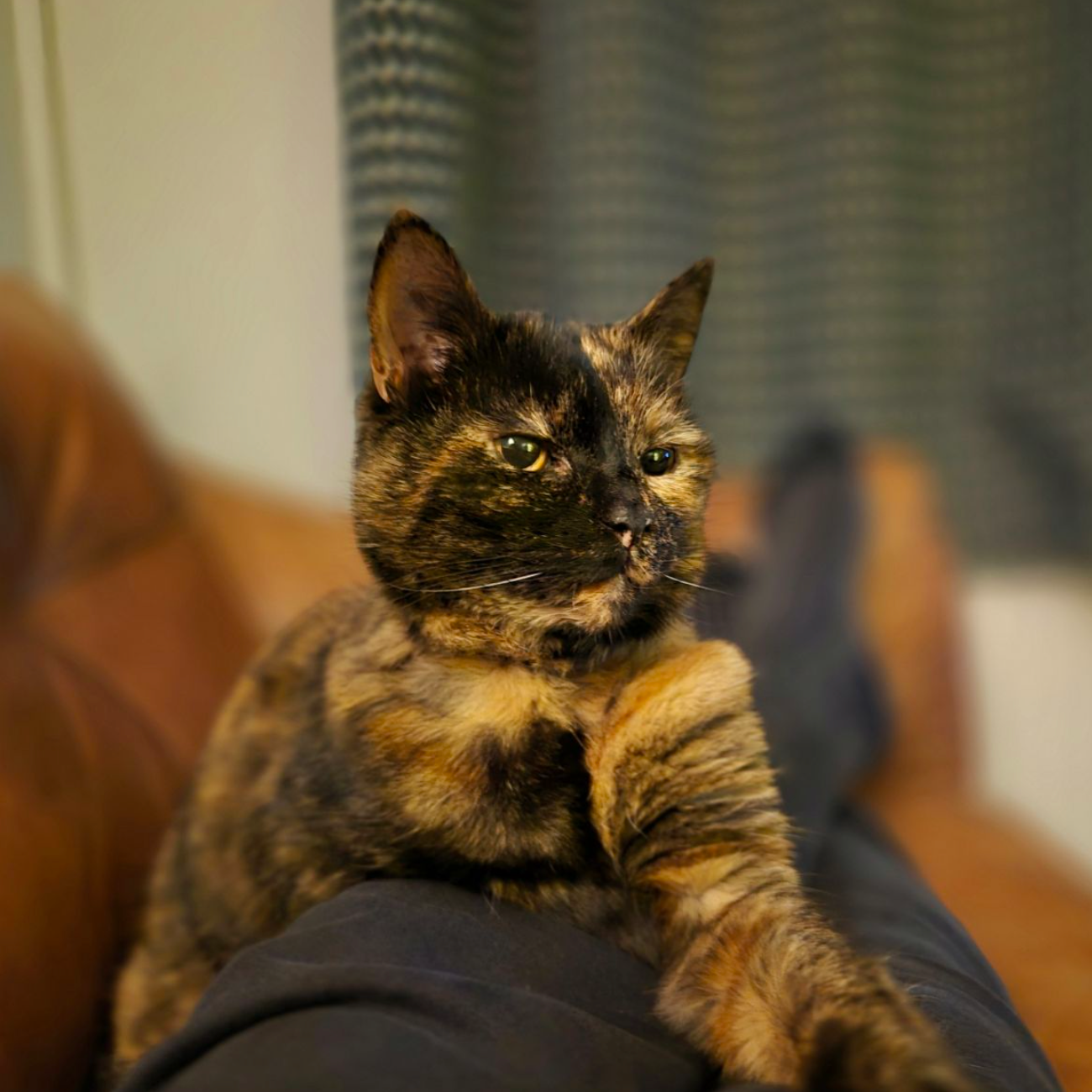 Smudge